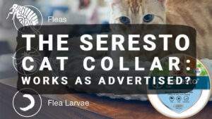Read more about the article The Seresto Cat Collar: Works As Advertised?